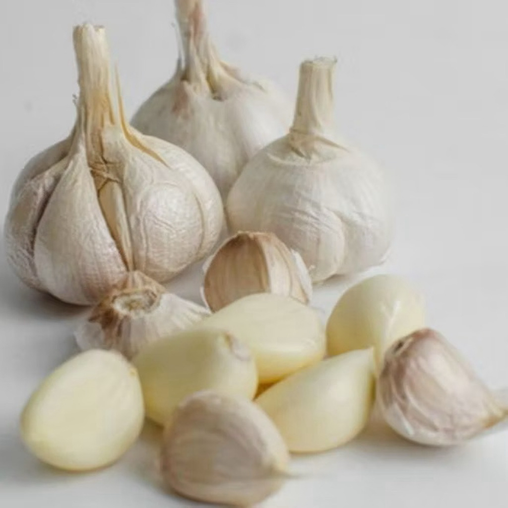 

Bawang Putih 1kg 500gr murah