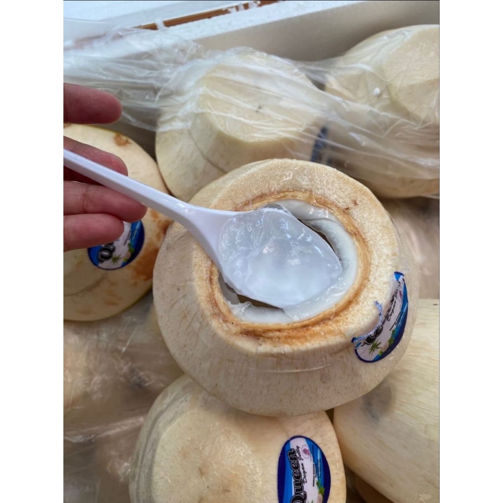 

DEGAN JELLY BY QUEEN ONLY SURABAYA