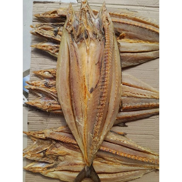 

Ikan Asin Tenggiri Kering Utuh – Oleh-Oleh Khas Laut Segar Asli