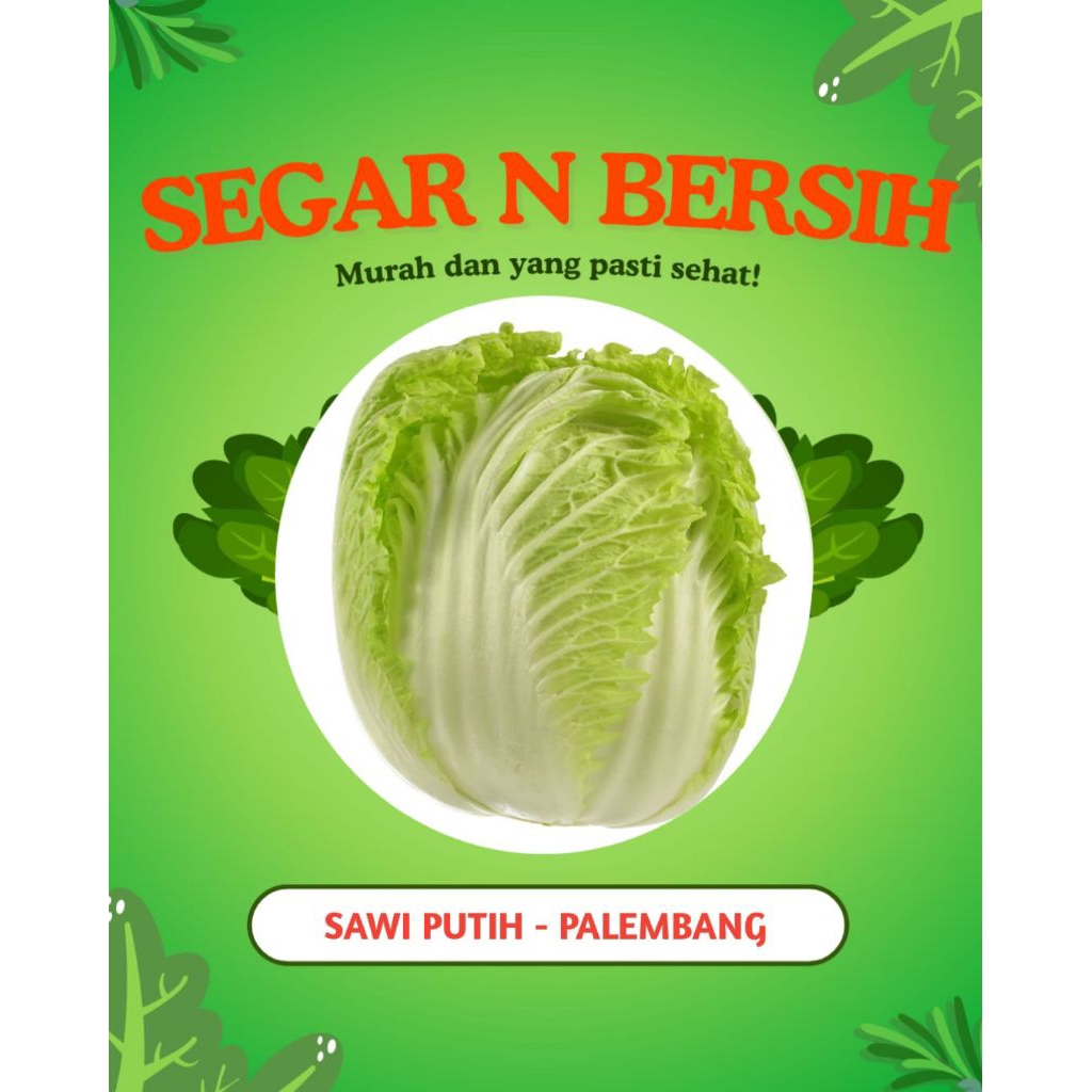 

SAWI PUTIH SEGAR - PALEMBANG