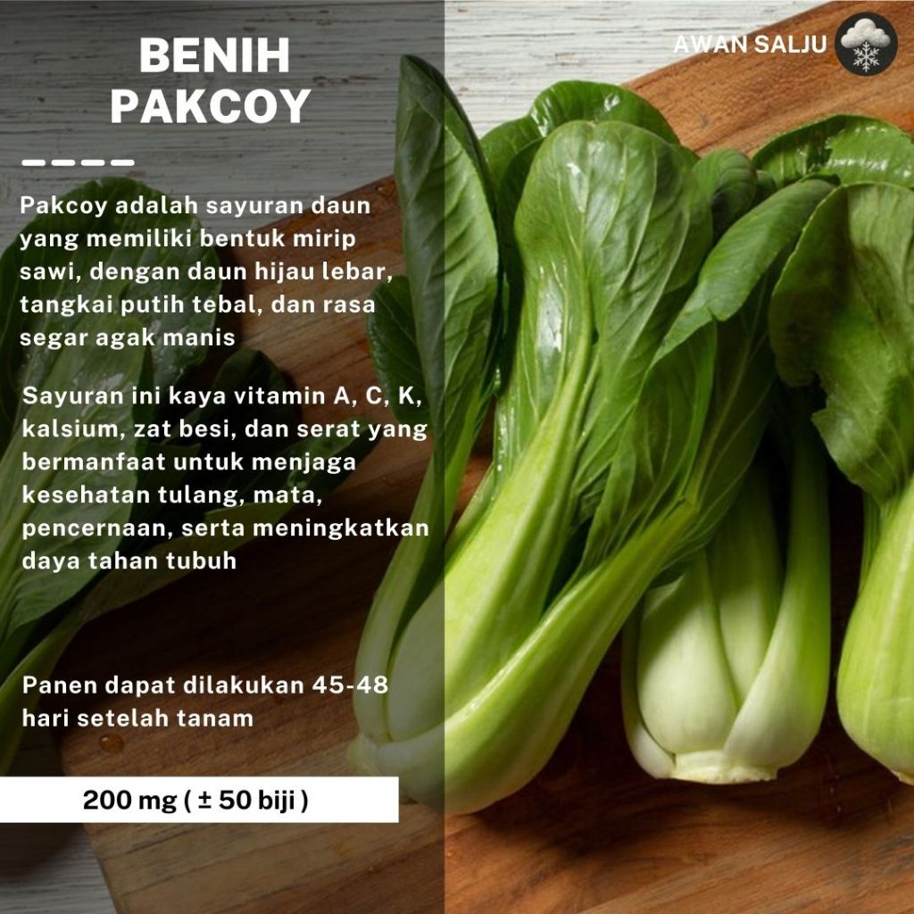 Benih Sawi Pakcoy – Cocok Hidroponik & Tahan Cuaca