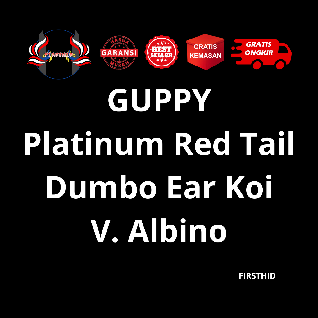 (BEST SELLER) Aksesoris Akuarium GUPPY Albino PRTDE Koi Platinum Red Tail Dumbo Ear Big penghias kol