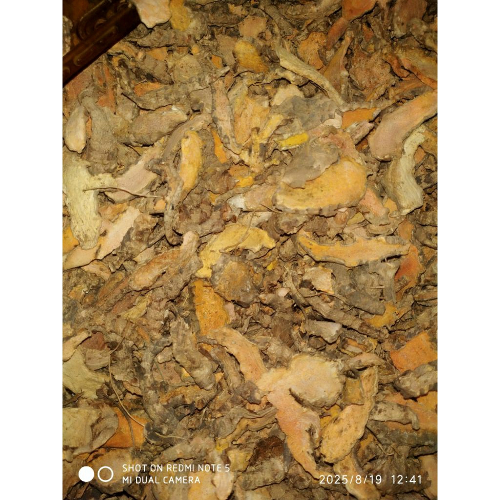 

kunyit kuning kering || kunir kering || per 100 gram
