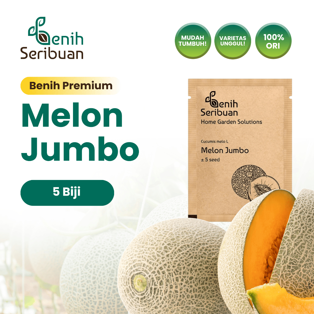 Benih Seribuan - Benih Buah Melon Jumbo F1 Hibrida