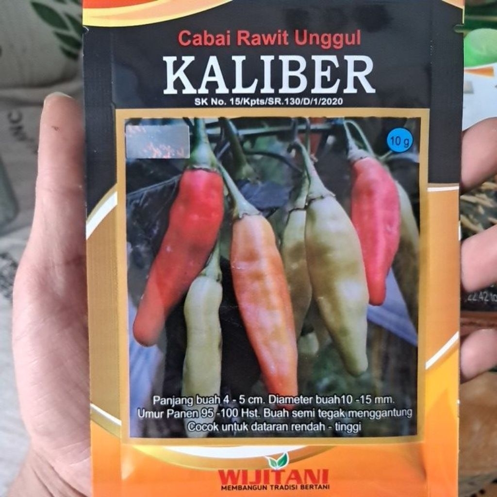 KALIBER benih cabai rawit unggul