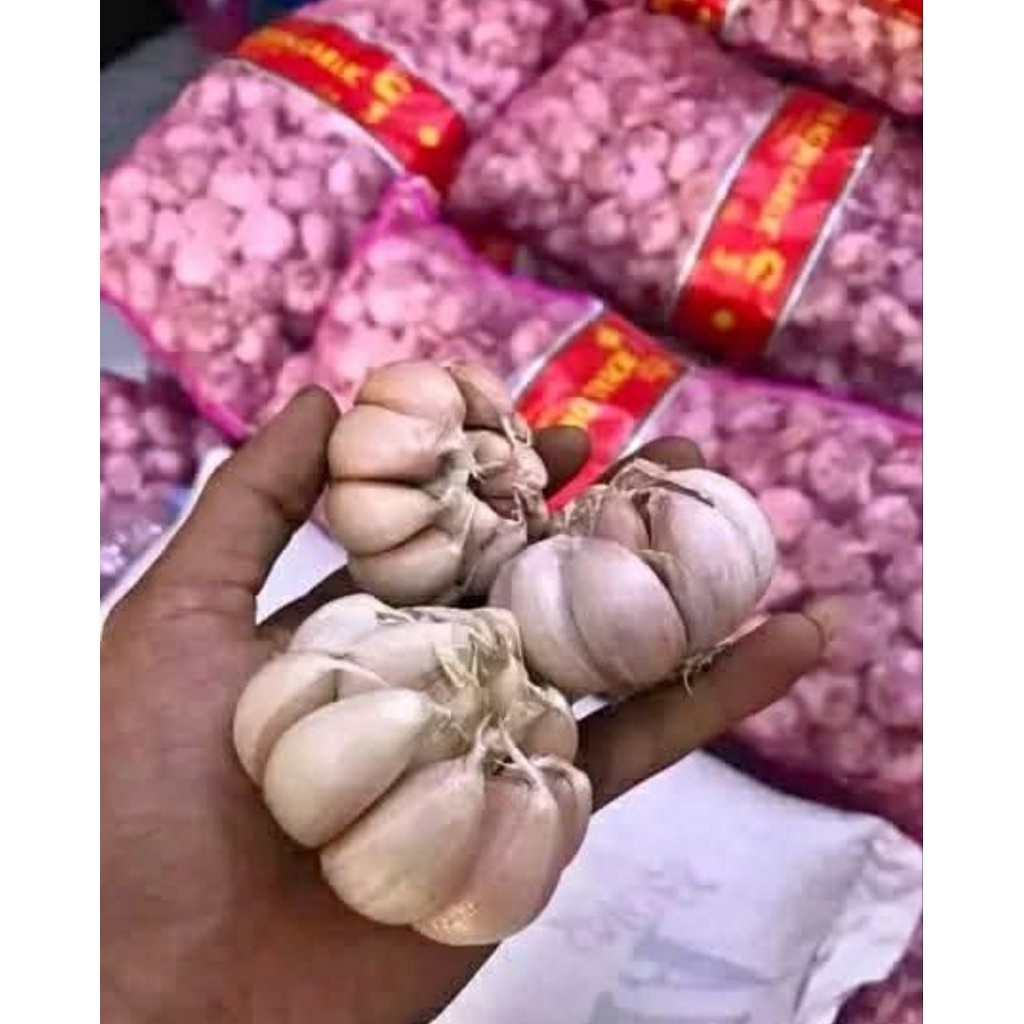 

GROSIR 2KG BAWANG PUTIH