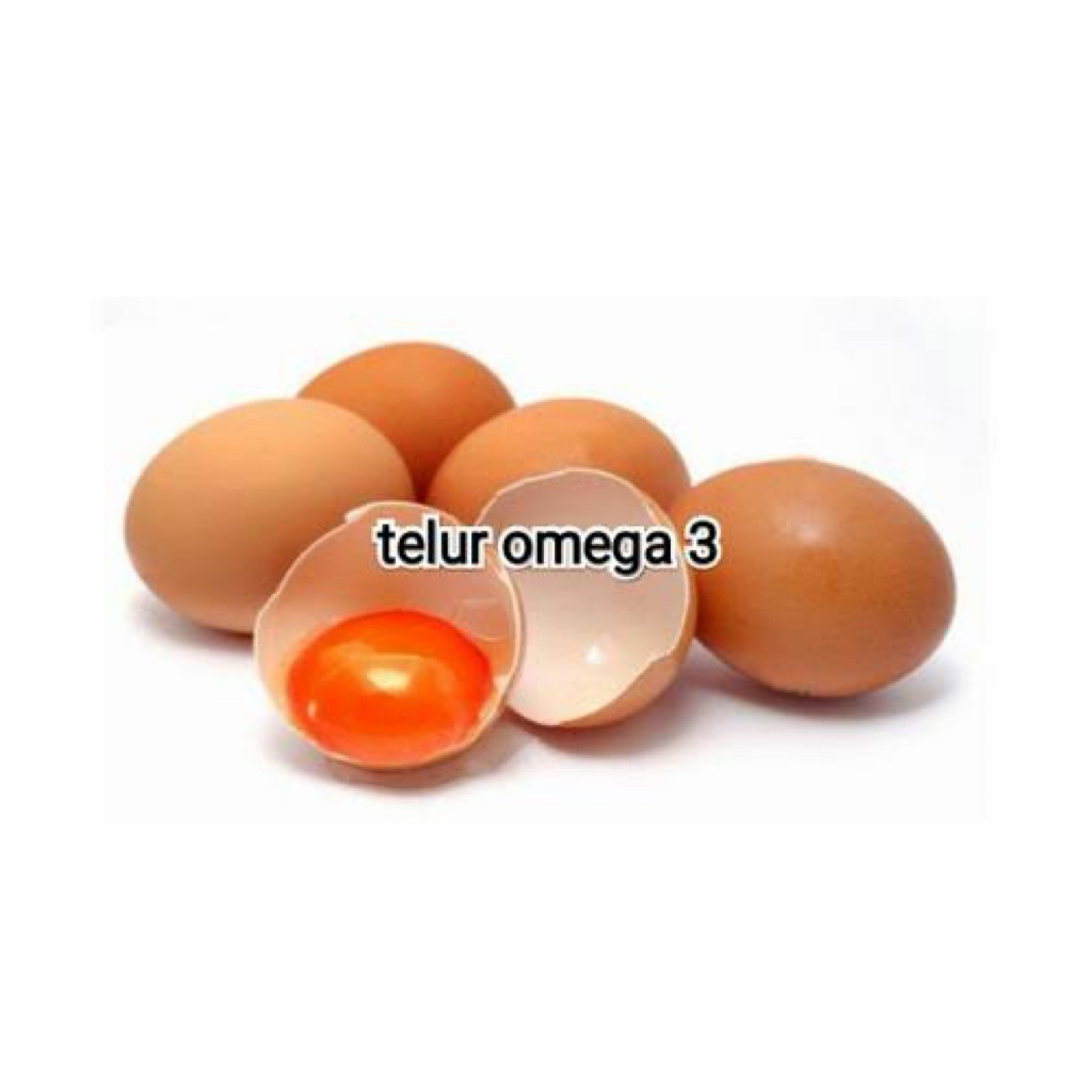 TELUR OMEGA 1 Rak Isi 30 Biji Telur