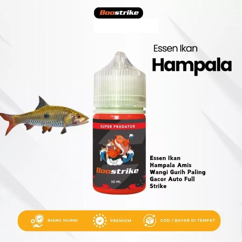 Essen Ikan Hampala Paling Gacor, Essen Ganas Ikan Hampala Paling Ampuh 30ml - Essen Boostrike