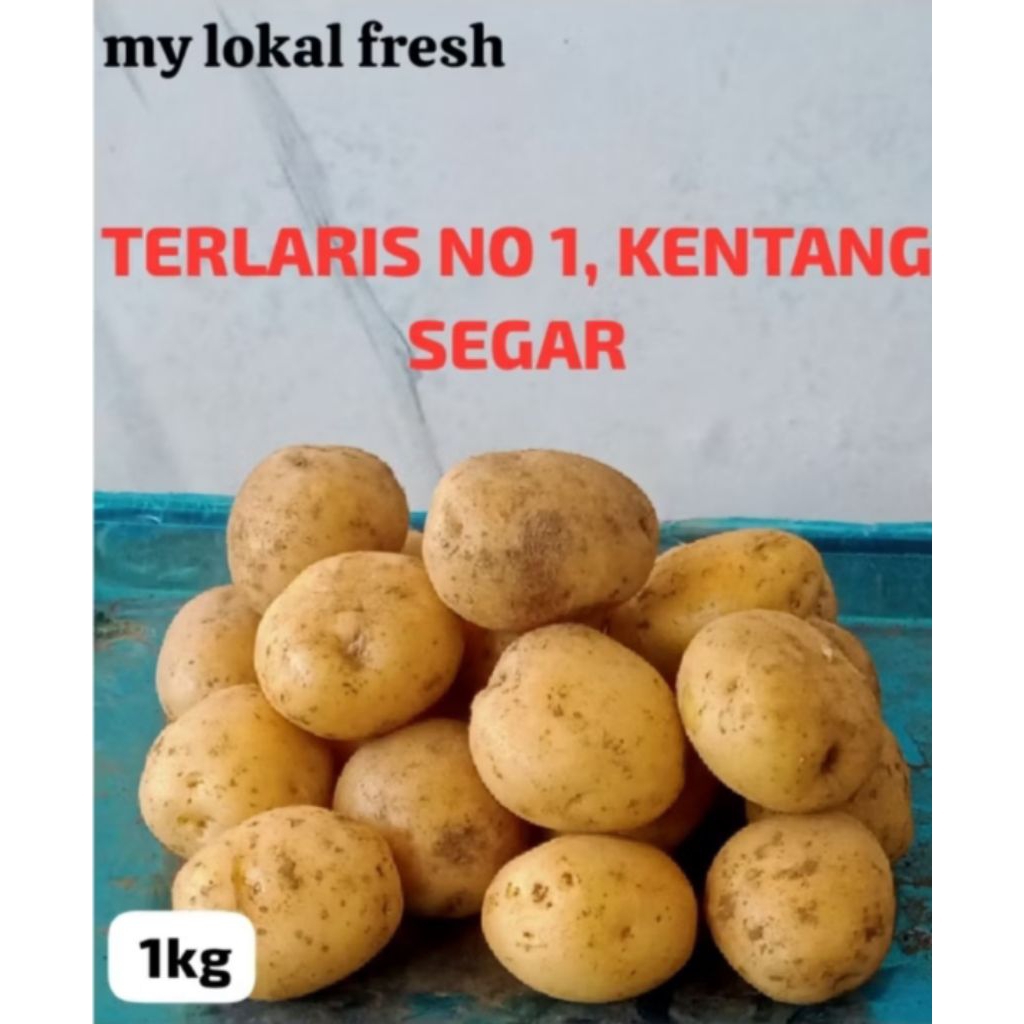 

Terlaris No.1 Kentang Segar 1kg