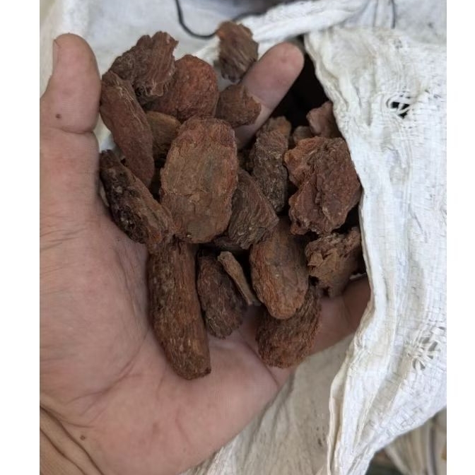 Pine Bark / Kulit Pinus Cacah Media Tanam