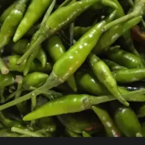 

Cabe rawit hijau 250 gram