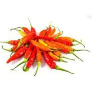 

Cabe Rawit Merah 100 Gram