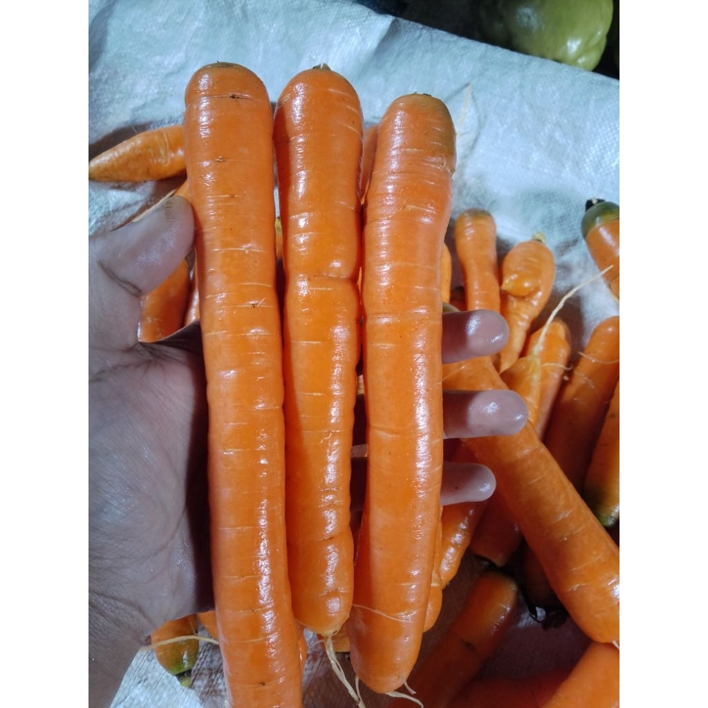 

wortel lokal 1kg fresh