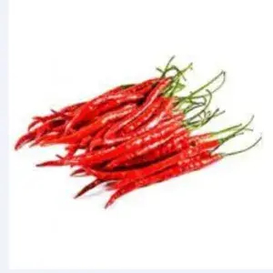 

Cabe Merah Keriting 200 Gram