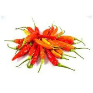 

Cabe Rawit Merah - 250 gram