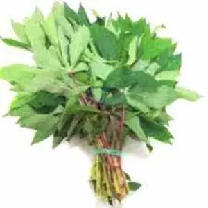 

Daun Singkong - Per ikat