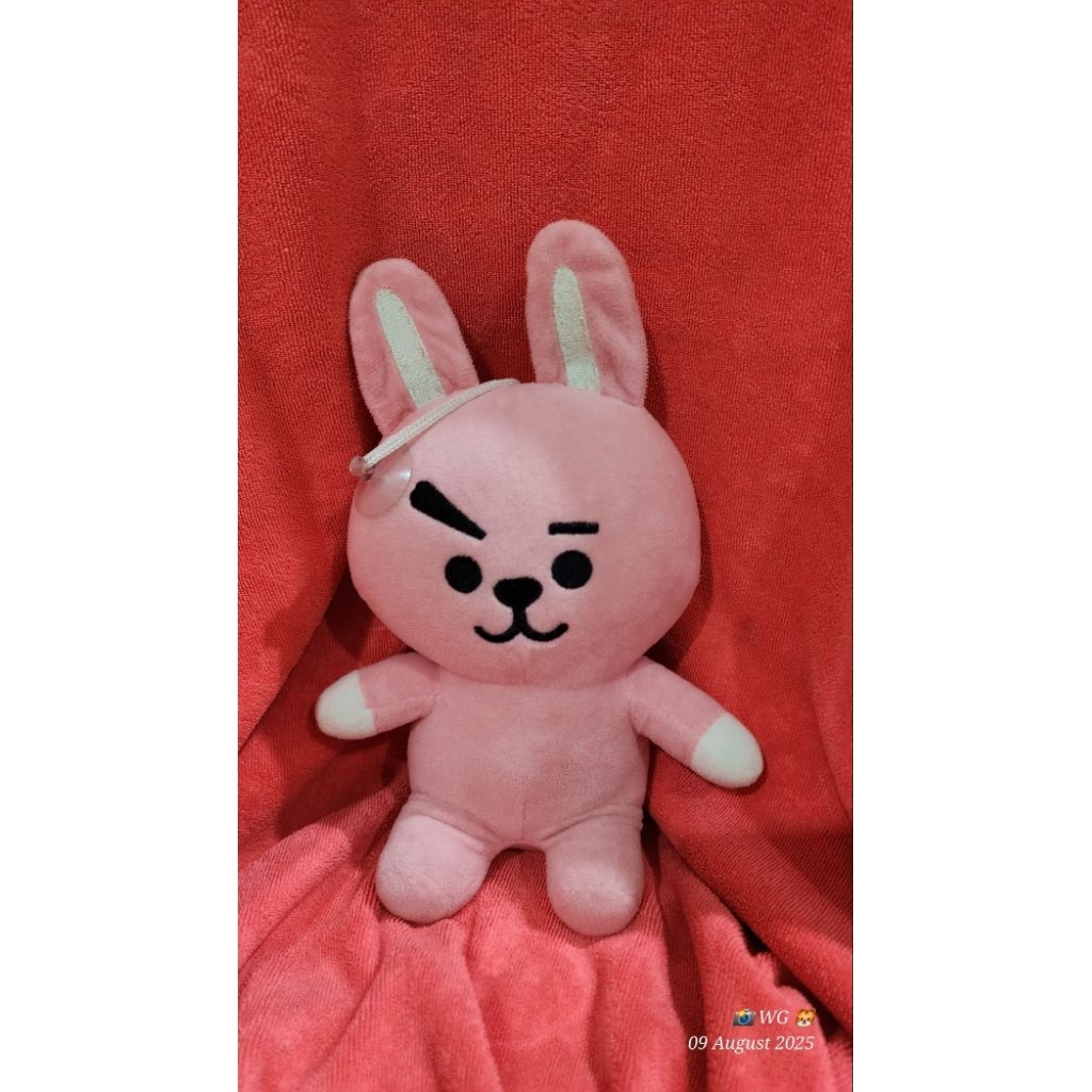 boneka cooky