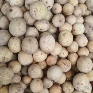 

Duku Palembang 500 gr