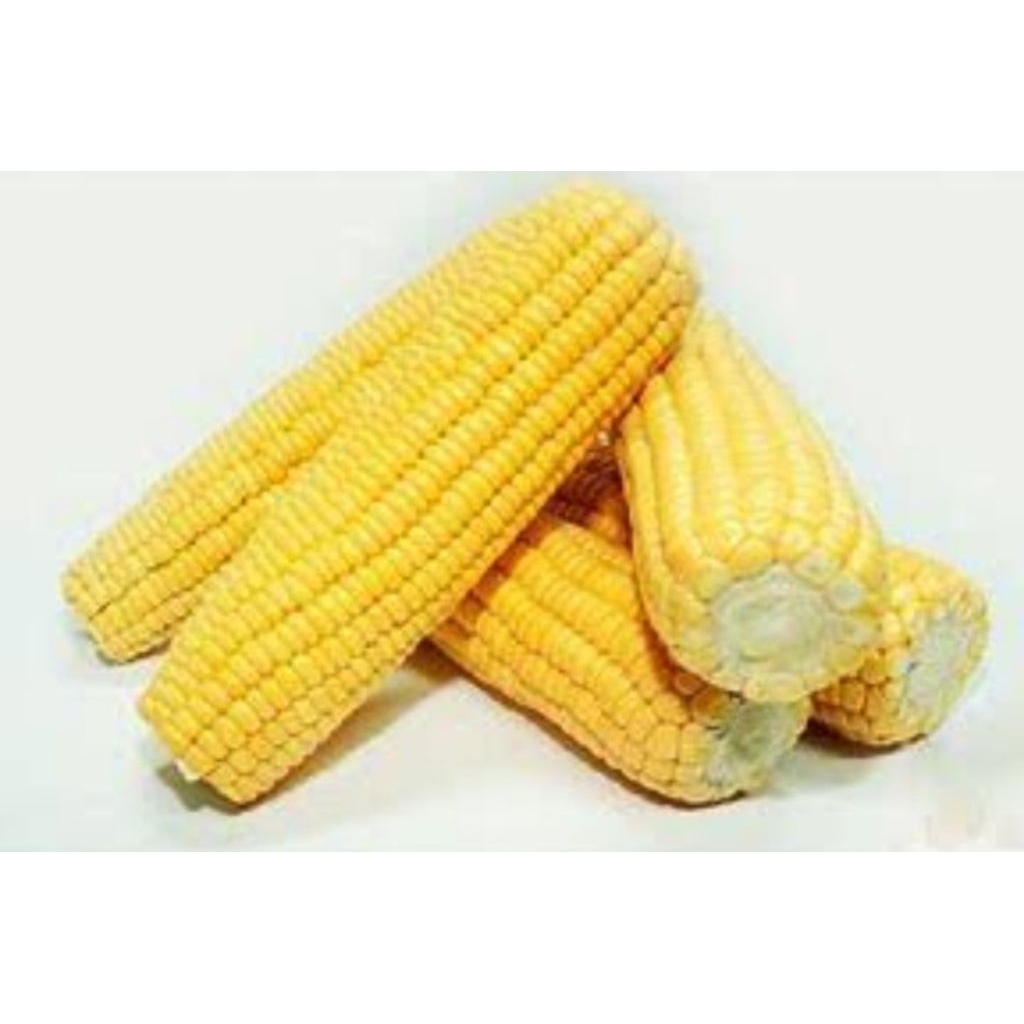 

jagung manis kupas 450g-500g