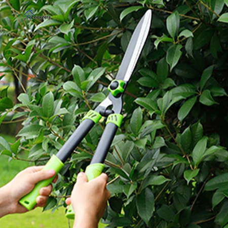 Gunting Rumput Pangkas Ranting Dahan