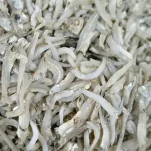 

Ikan Teri Lampung 100 Gram