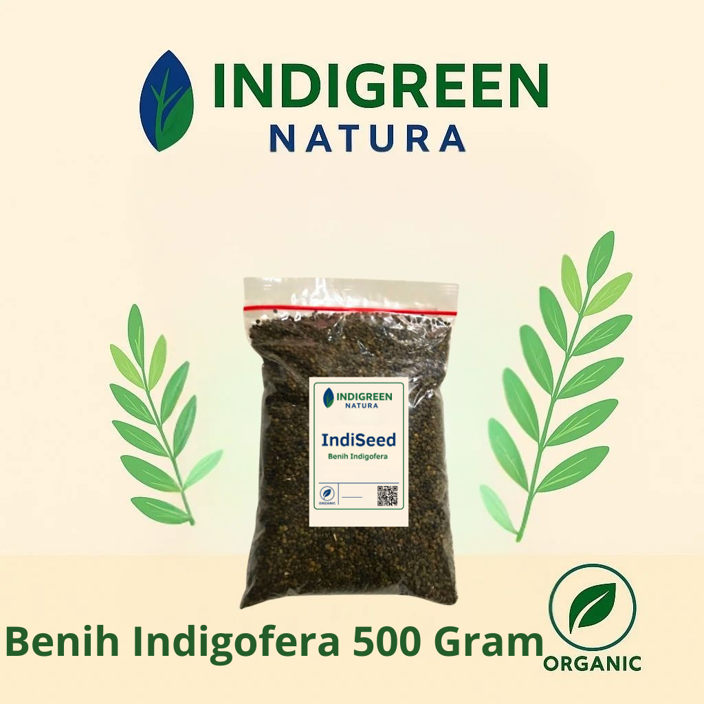 Benih Indigofera Benih Tanaman Indigofera Bibit Biji Indigofera - IndiSeed 500 Gr