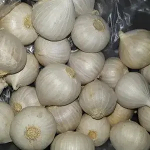 

Bawang Putih Tunggal 100 gr