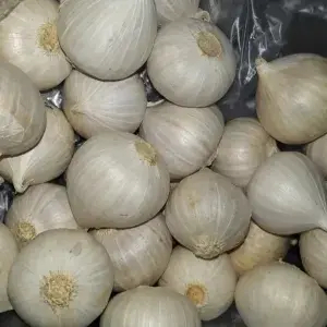 

Bawang Putih Tunggal 250 gr
