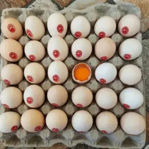 

Telur Ayam Kampung Merah Mentah Per 1 PCS