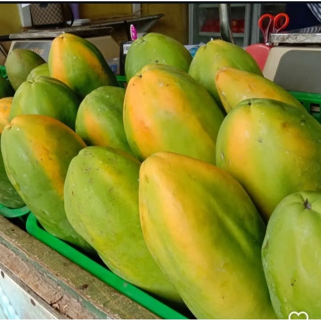 

Buah pepaya california segar (Di petik dadakan saat ada order)