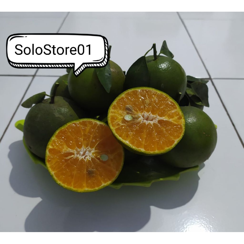 

Jeruk Khas Semboro Kemasan 1kg Fresh Petik Pohon