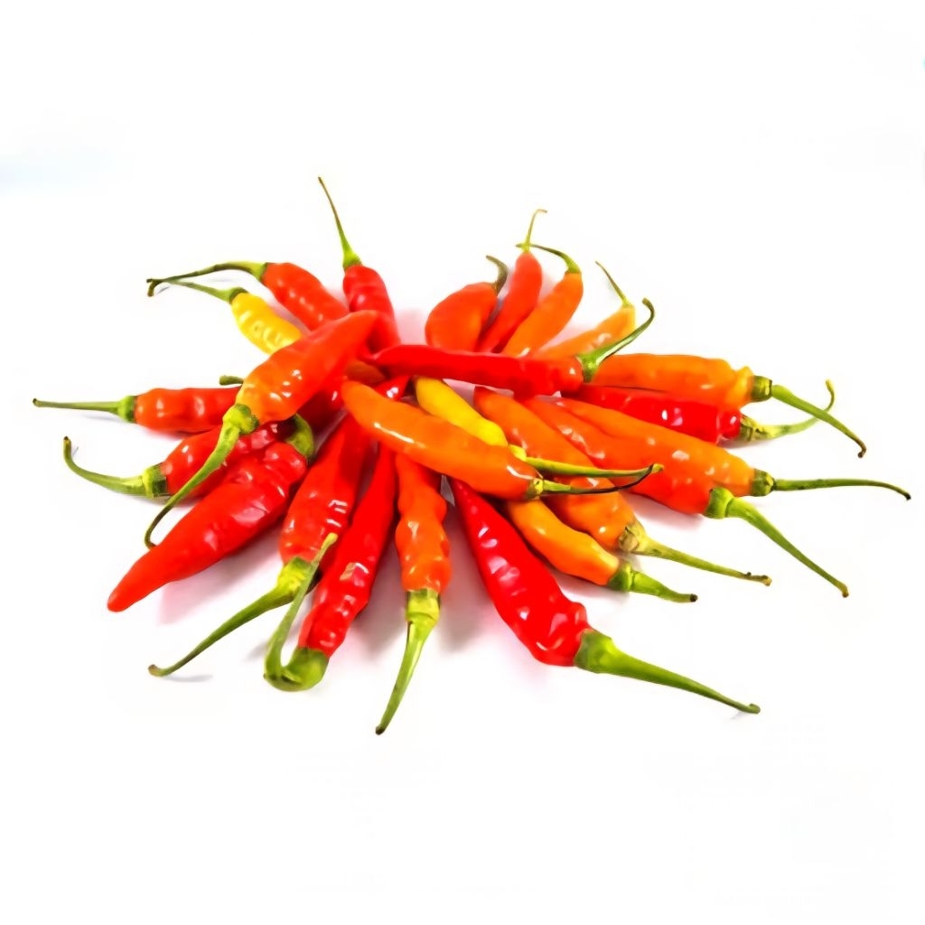 

cabai merah red setan super premium