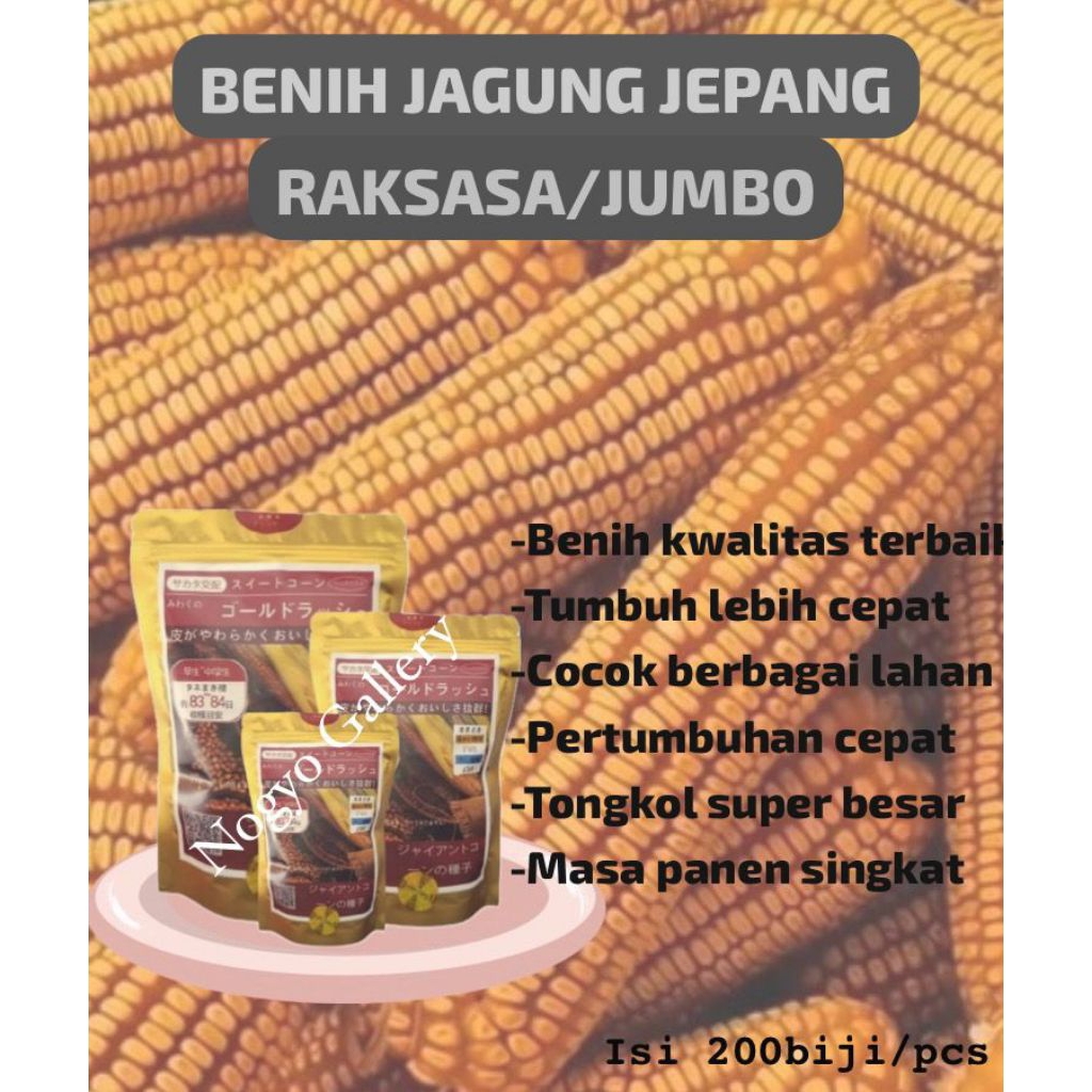 Benih Jagung Jepang Raksasa