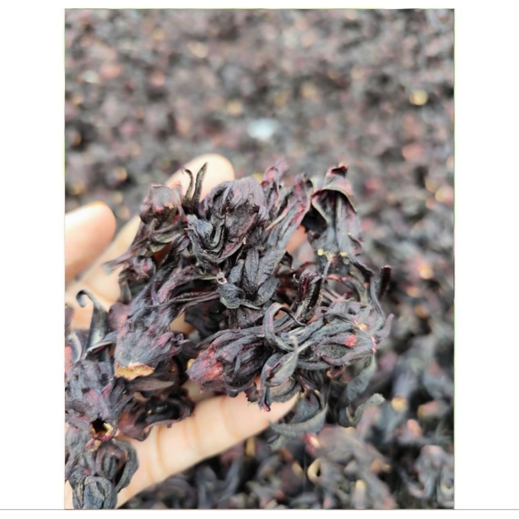 

250 Gram Teh Bunga Rosella Ungu Kering Kualitas Premium