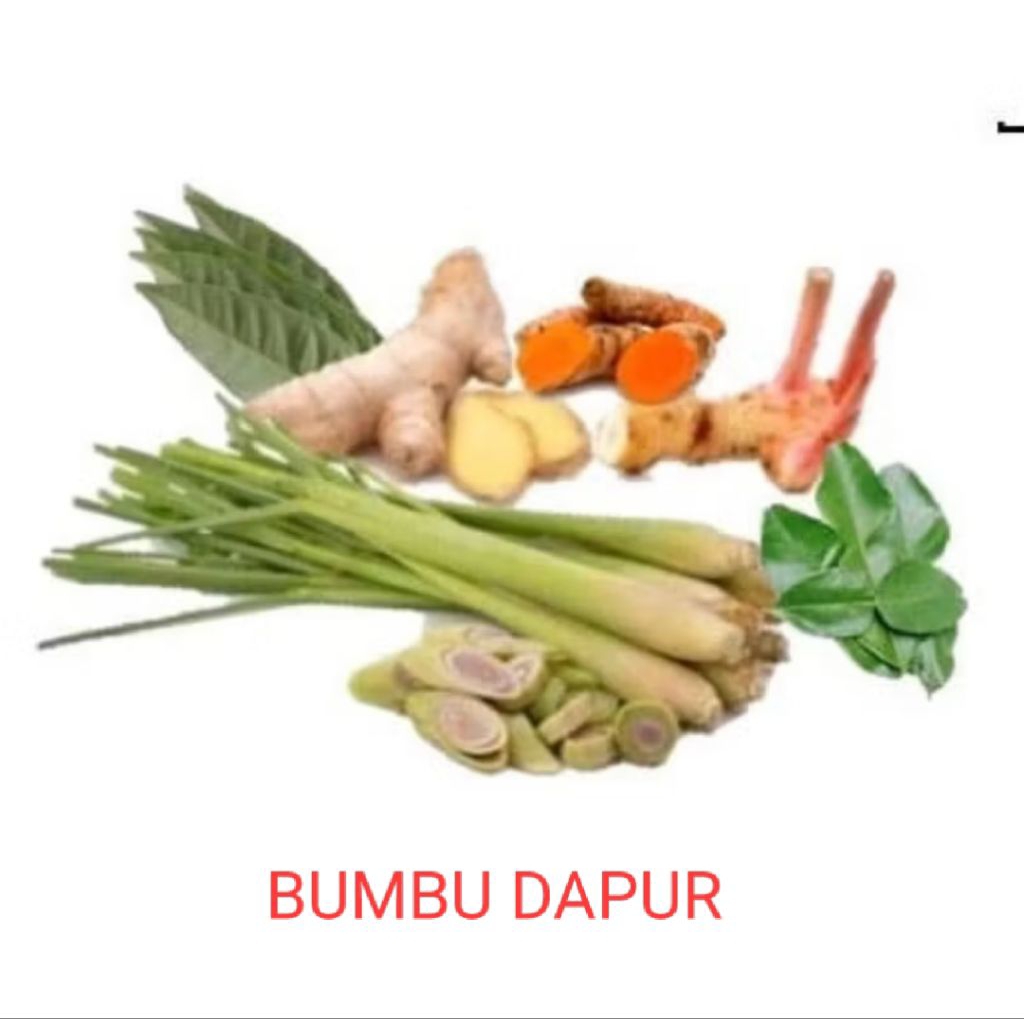 

MACAM MACAM BUMBU DAPUR LENGKAP REMPAH SEGAR