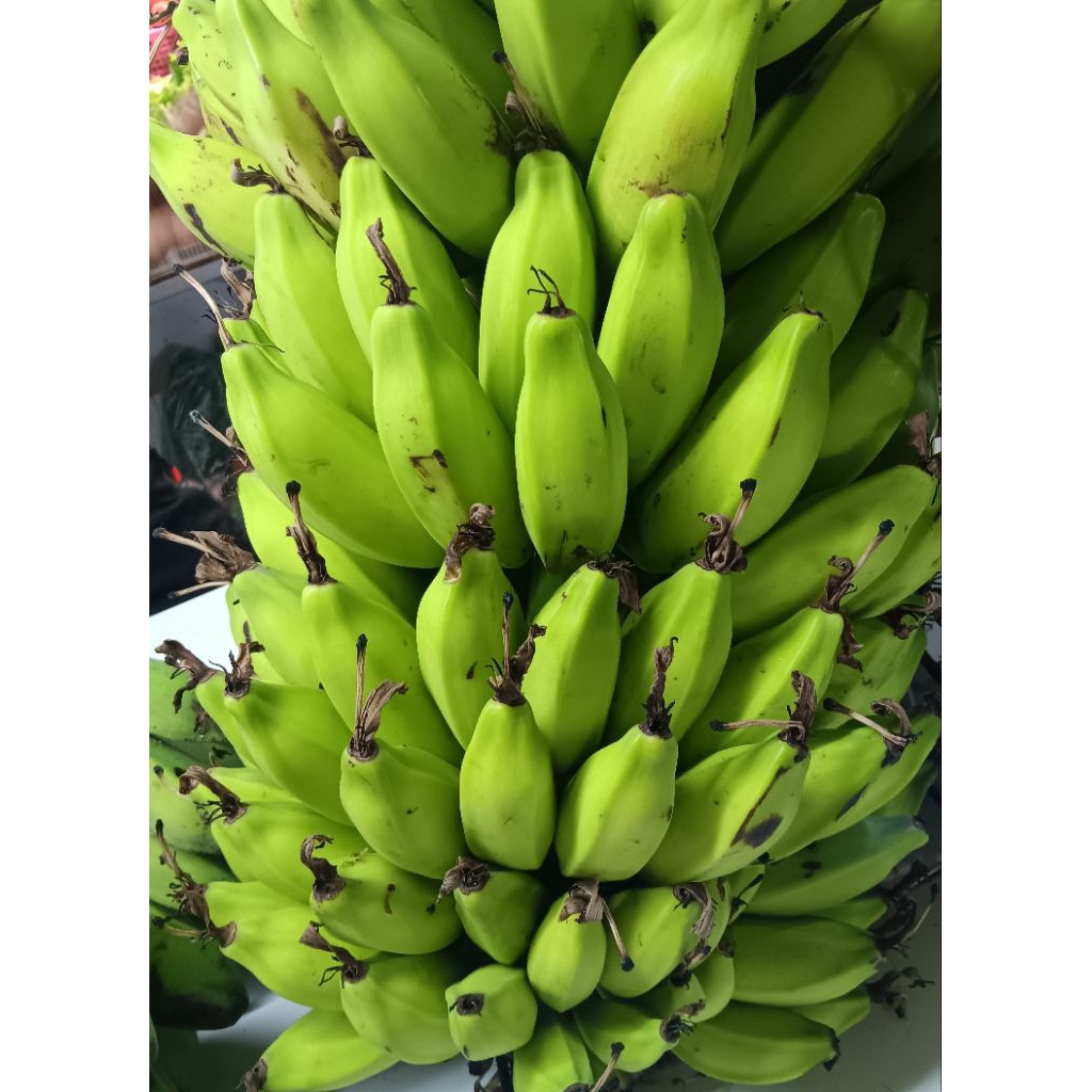 

pisang batu muda 1sisir