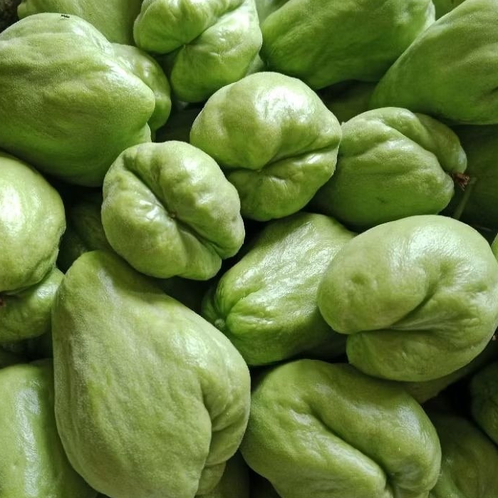 

Labu siam Acar / baby1Kg petik langsung