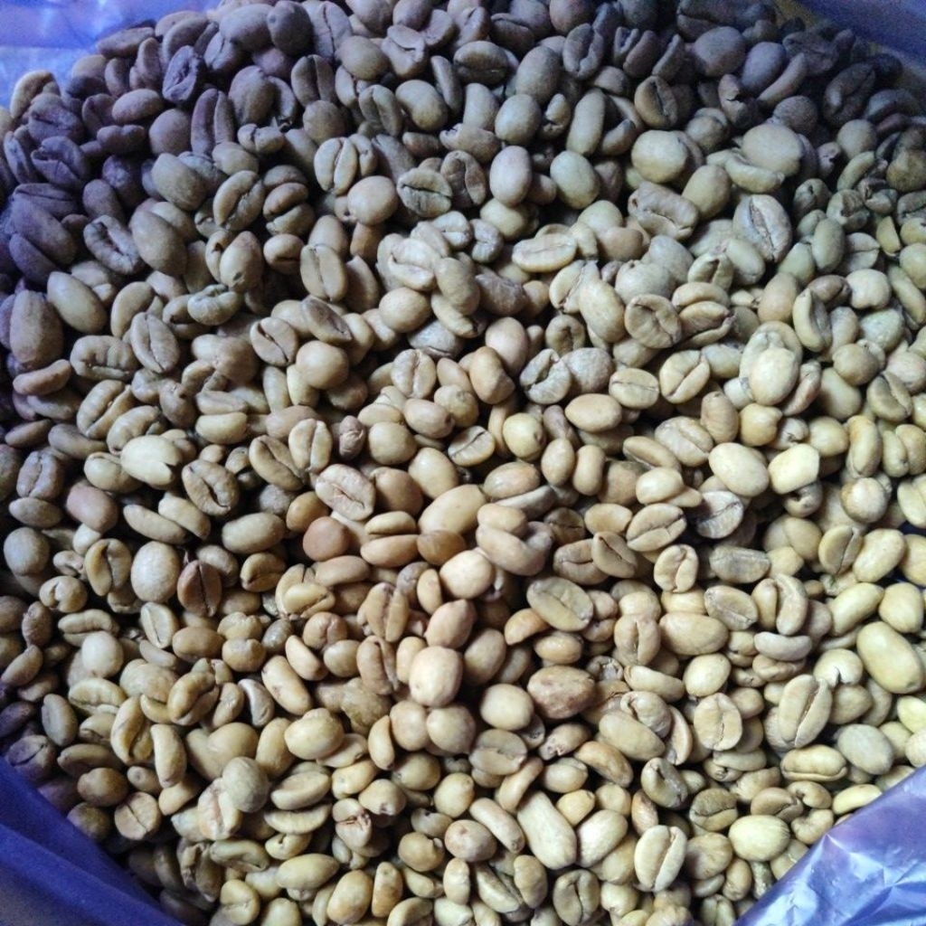 

Harga promo Kopi excelsa mentah wonosalam kaki G. Anjasmoro