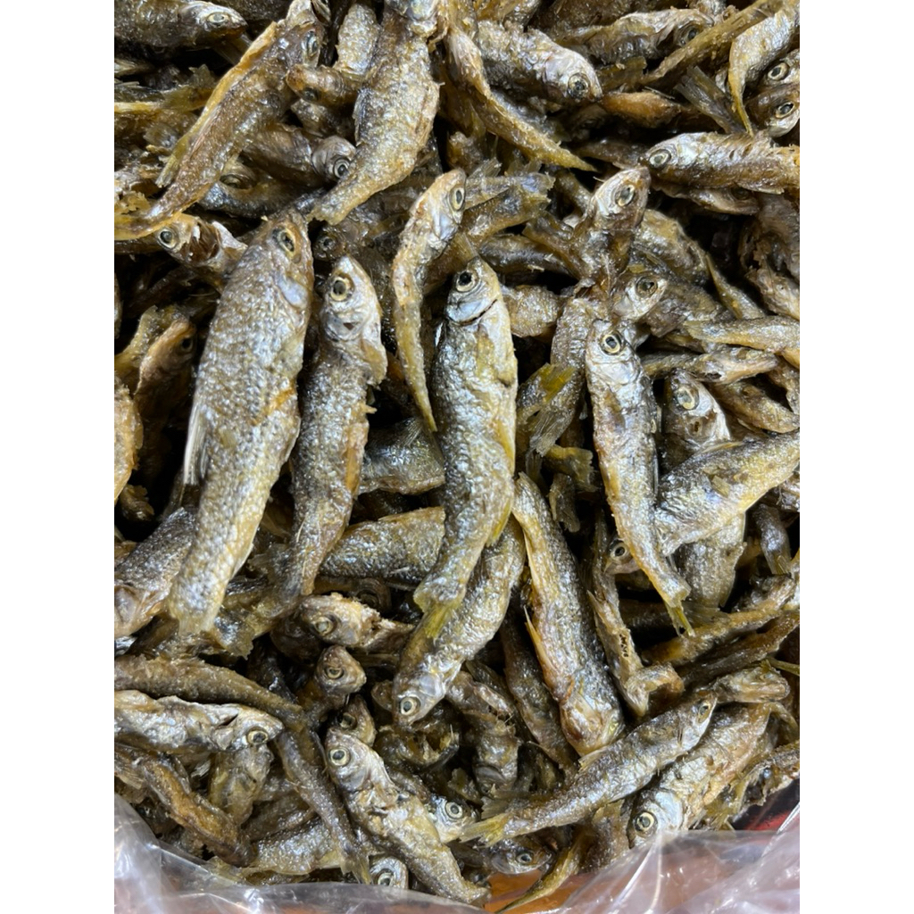 

Ikan Bilih Singkarak Asli