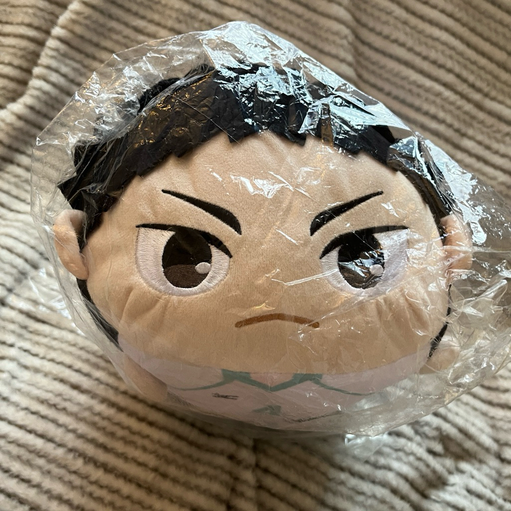 Haikyuu Potekoro Big Size Iwaizumi