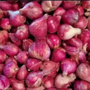 

Bawang Merah - 250 gram