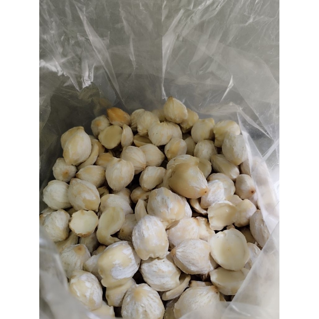 

Kemiri super ||premium