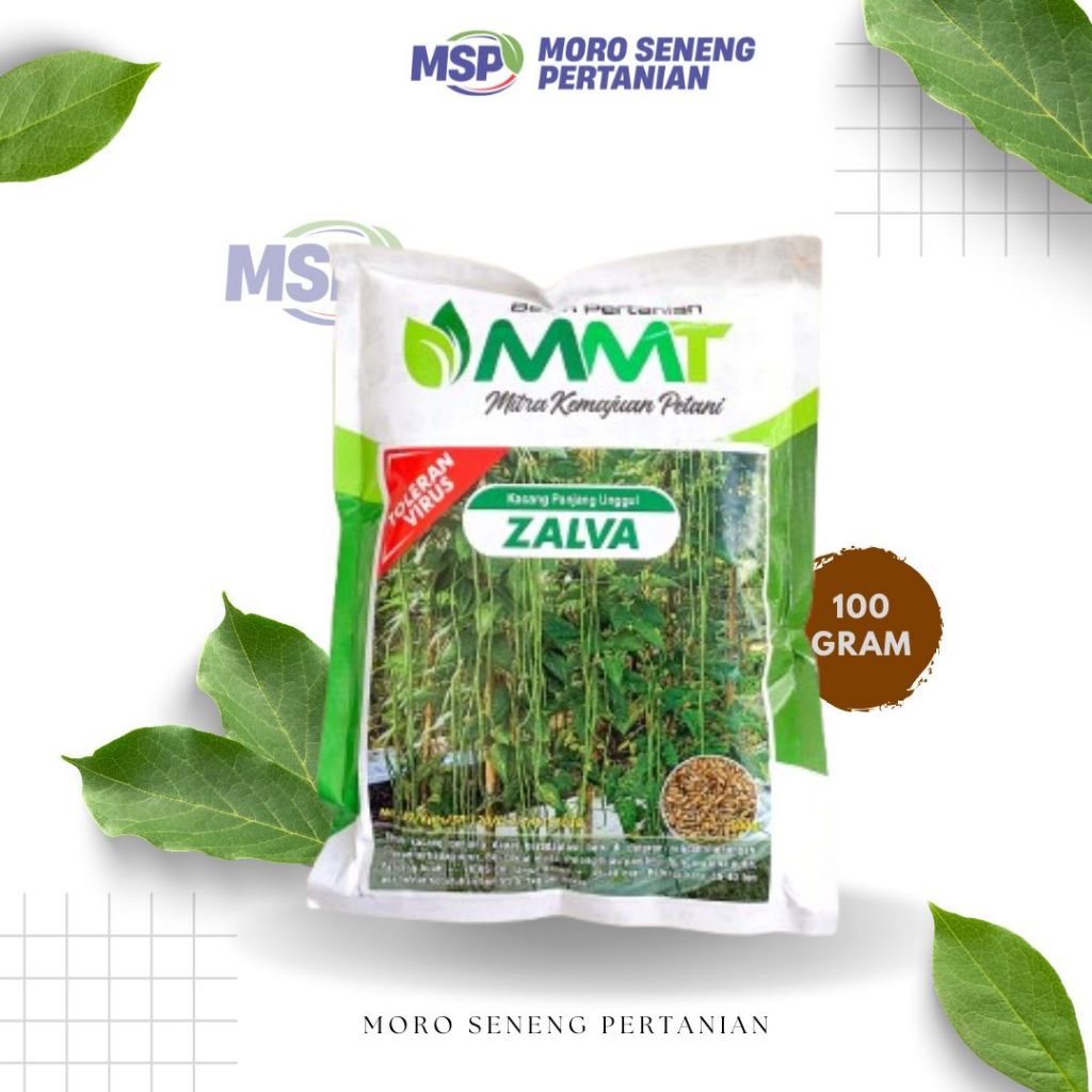 ZALVA 100 GRAM BENIH KACANG PANJANG