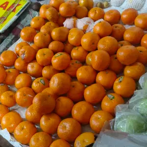 jeruk mandarin murcot maniss