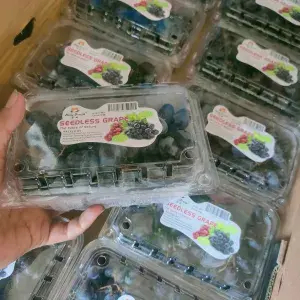 anggur hitam tanpa biji manis 500g