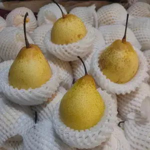 

buah potong pear yali