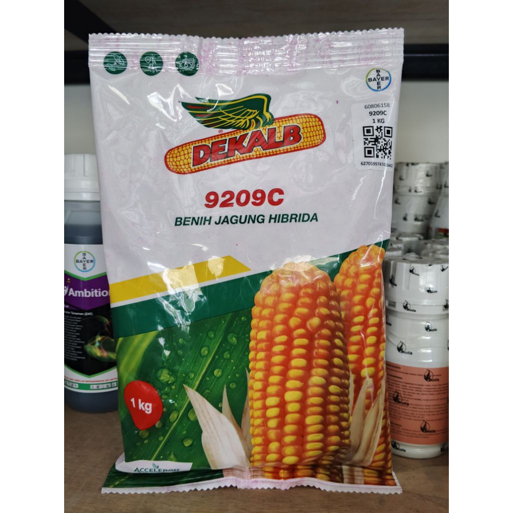 Benih jagung hibrida DEKALB DK 9209C 1KG