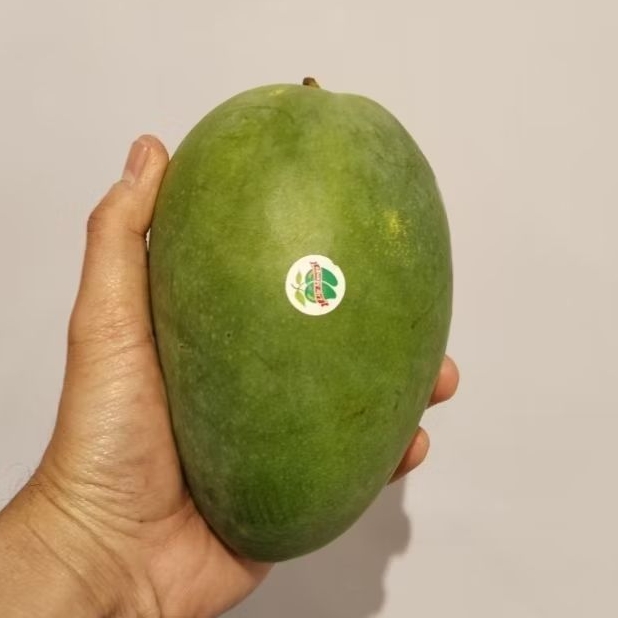 

mangga harum manis lily matang pohon 1kg