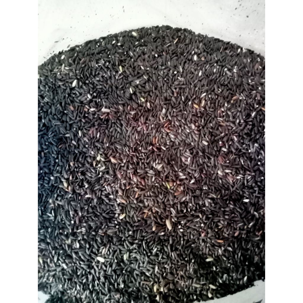 

KETAN HITAM SUPER 1 SAK 25 KG