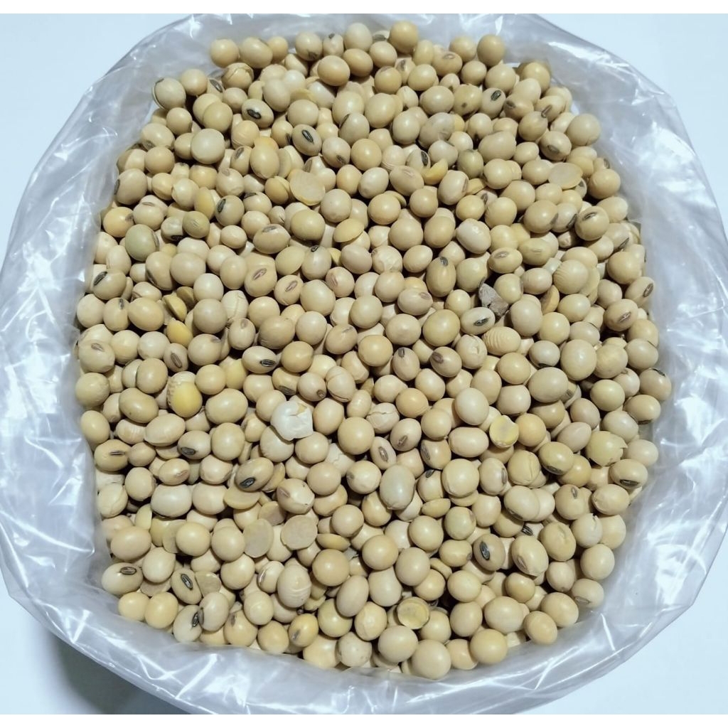 

Kacang Kedelai Mentah Super 500gr